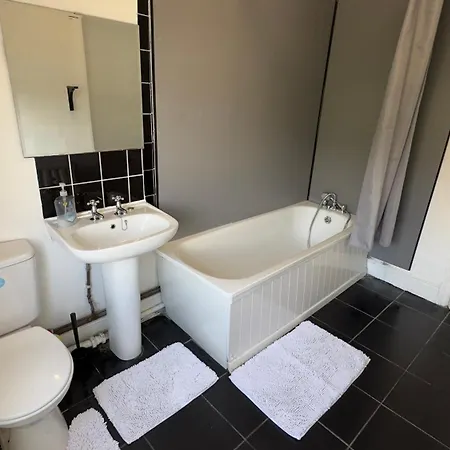 Adorable 2 * 브리스틀